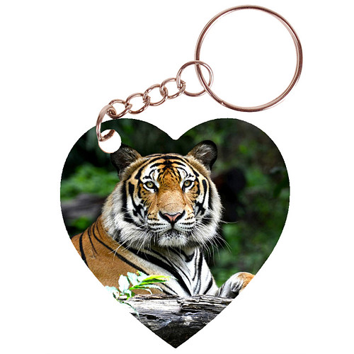 Sleutelhanger hartje 5x5cm - Tijger liggend op Boomstam