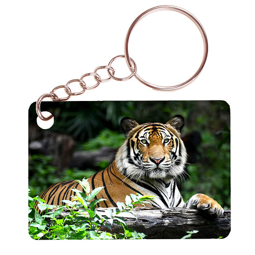 Sleutelhanger 6x4cm - Tijger liggend op Boomstam