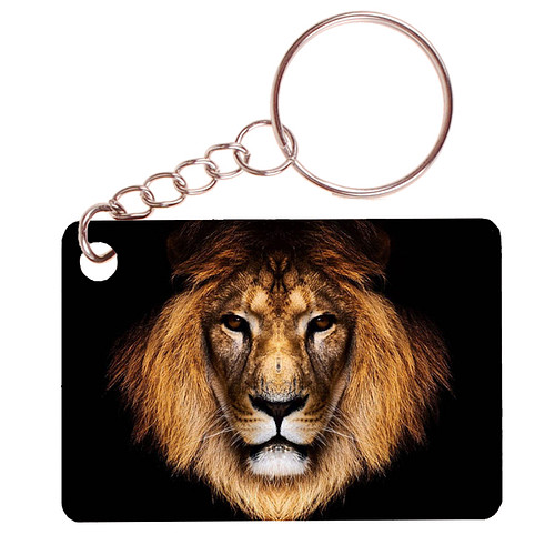 Sleutelhanger 6x4cm - Leeuw - Hoofd op Zwarte Achtergrond