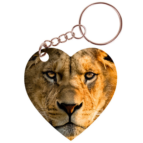 Sleutelhanger hartje 5x5cm - Leeuw - Hoofd