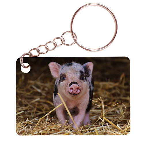 Sleutelhanger 6x4cm - Roze-Zwart Varkentje in Stro