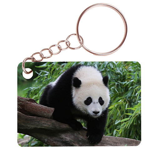 Sleutelhanger 6x4cm - Panda op Boom