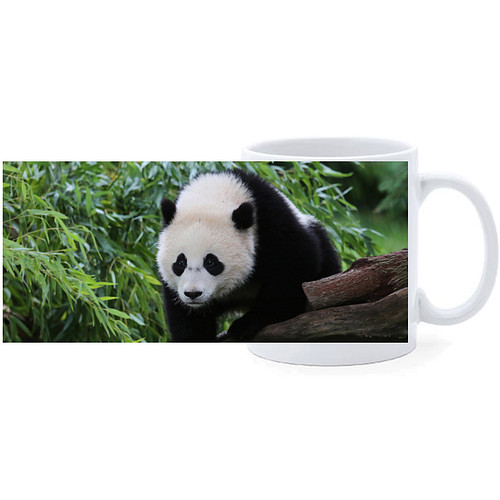 Beker - Panda op Boom