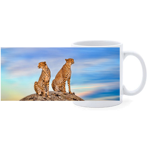 Beker - Cheethas - 2 - op Rots 