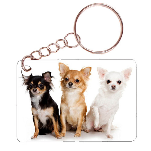 Sleutelhanger 6x4cm - Chihuahuas zwart/bruin/wit