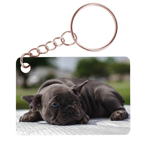 Sleutelhanger 6x4cm - Franse Bulldog Pup op Kleed