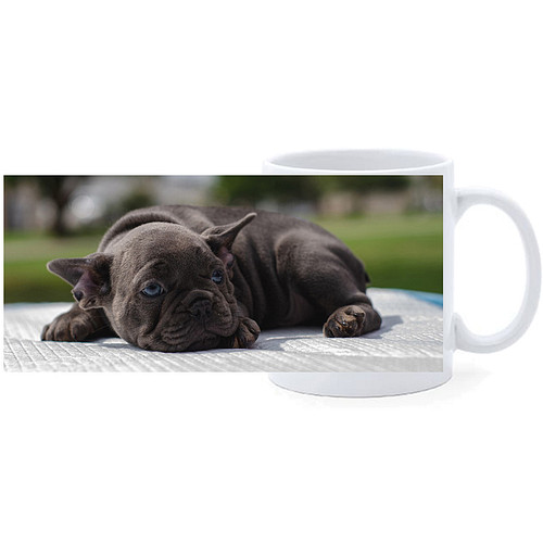 Beker - Franse Bulldog Pup op Kleed