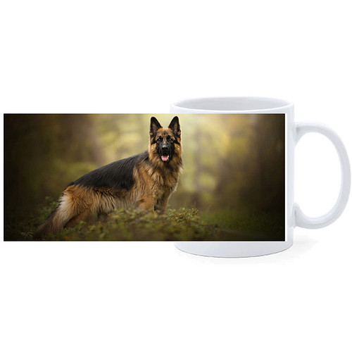 Beker - Duitse Herder staand in Bos