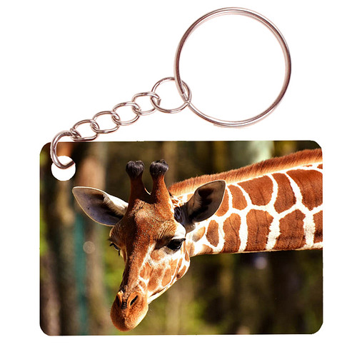 Sleutelhanger 6x4cm - Giraffe - Uitgestrekte Nek