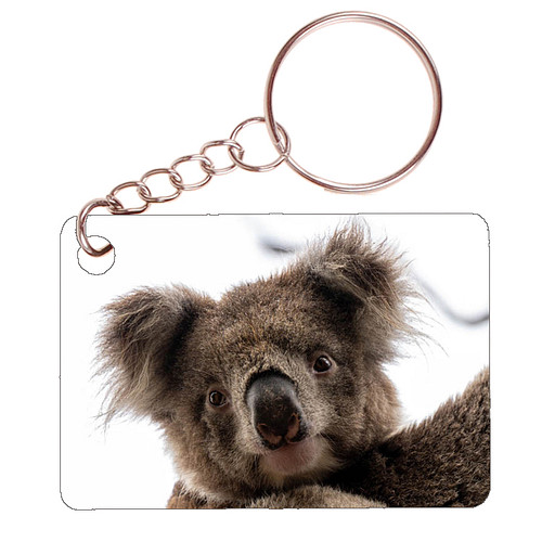 Sleutelhanger 6x4cm - Koala - Close up