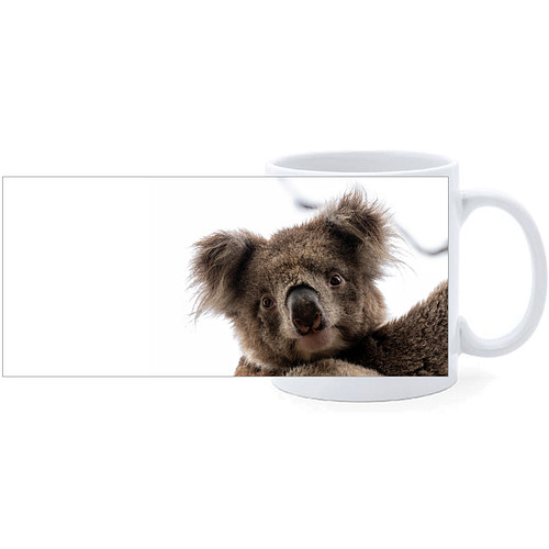 Beker - Koala - Close up