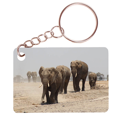 Sleutelhanger 6x4cm - Olifanten Groep op Savanne