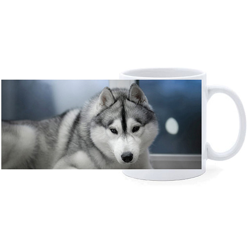 Beker - Husky Liggend op Houten Vloer