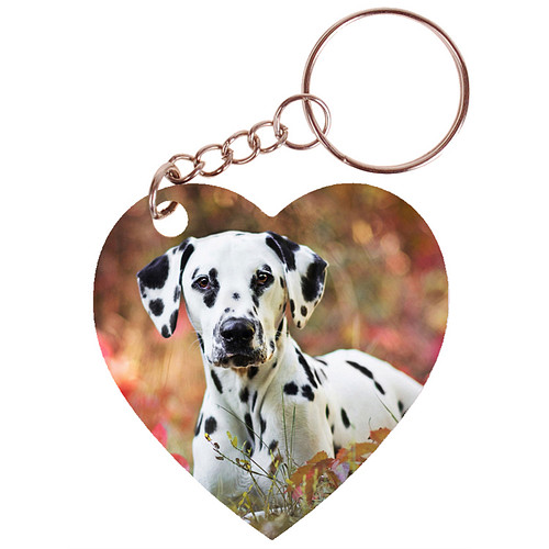 Sleutelhanger hartje 5x5cm - Dalmatier Liggend tussen Bladeren
