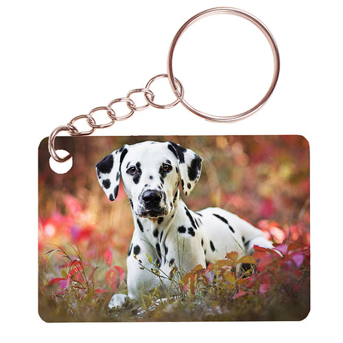 Sleutelhanger 6x4cm - Dalmatier Liggend tussen Bladeren