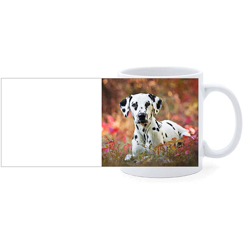 Beker - Dalmatier Liggend tussen Bladeren