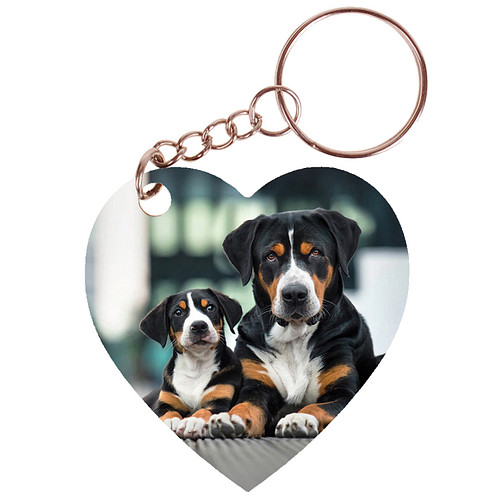 Sleutelhanger hartje 5x5cm - Grote Zwitserse Sennenhond met Pup Liggend