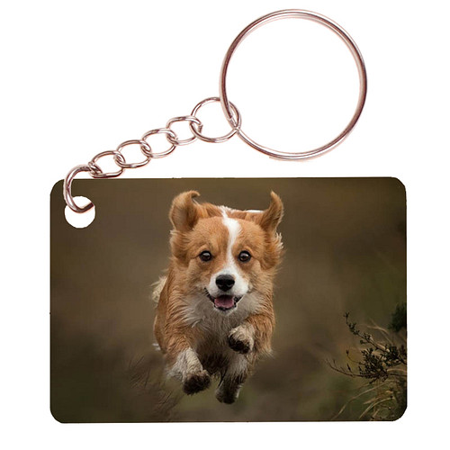 Sleutelhanger 6x4cm - Welsch Corgi Pembroke Hond Rennend