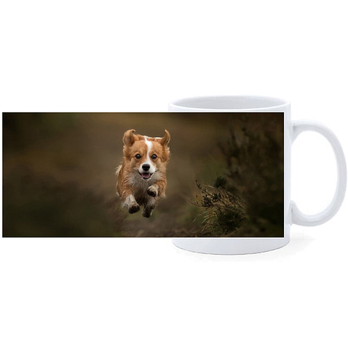 Beker - Welsch Corgi Pembroke Hond Rennend