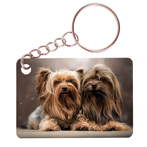 Sleutelhanger 6x4cm - Yorkshire Terrier Duo Liggend op Kussen