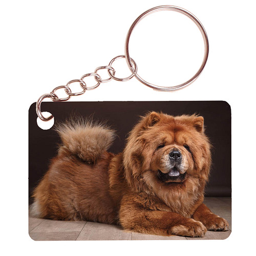 Sleutelhanger 6x4cm - Chowchow Hond Liggend op Houten vloer