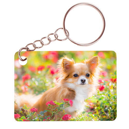 Sleutelhanger 6x4cm - Chihuahua tussen Bloemen