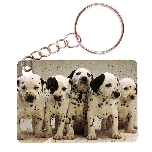 Sleutelhanger 6x4cm - Dalmatier Puppies op Rij