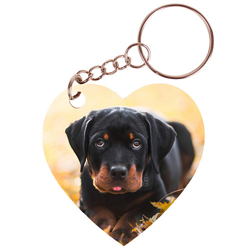 Sleutelhanger hartje 5x5cm - Rottweiler Pup Liggend tussen Bladeren