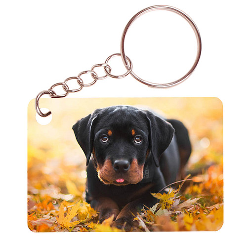 Sleutelhanger 6x4cm - Rottweiler Pup Liggend tussen Bladeren