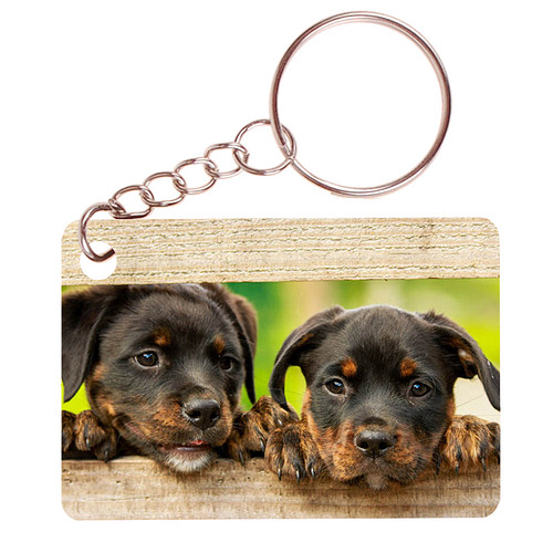 Sleutelhanger 6x4cm - Rottweiler Pups Tussen Hek