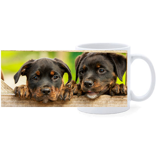 Beker - Rottweiler Pups Tussen Hek