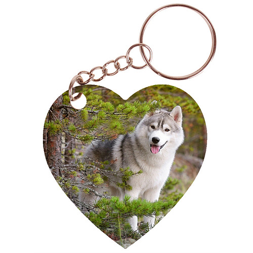 Sleutelhanger hartje 5x5cm - Husky op Rotsen in Bos