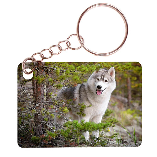Sleutelhanger 6x4cm - Husky op Rotsen in Bos