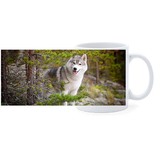 Beker - Husky op Rotsen in Bos