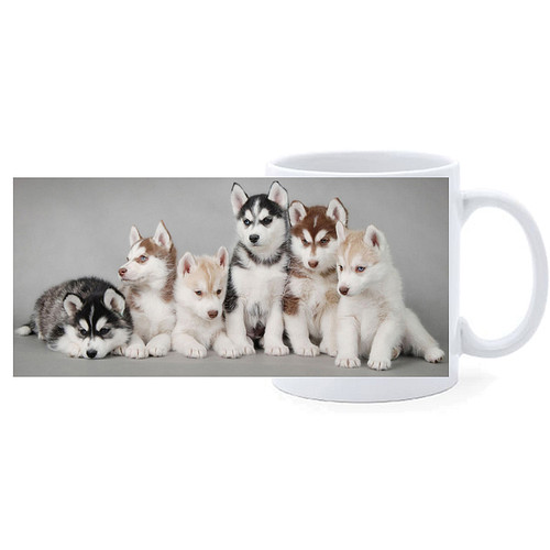 Beker - Husky Pups in Diverse Kleuren