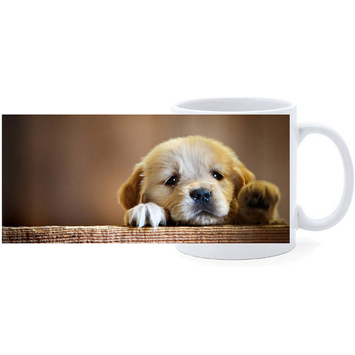 Beker - Golden Retreiver Pup op Houten Balk