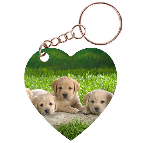 Sleutelhanger hartje 5x5cm - 5 Golden Retreiver Pups in Gras