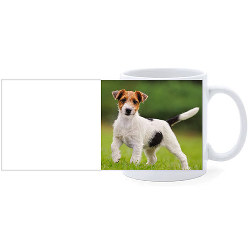 Beker - Jack Russel Terrier Hond Staand