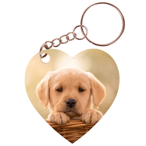 Sleutelhanger hartje 5x5cm - Golden Retreiver Pup in Mand