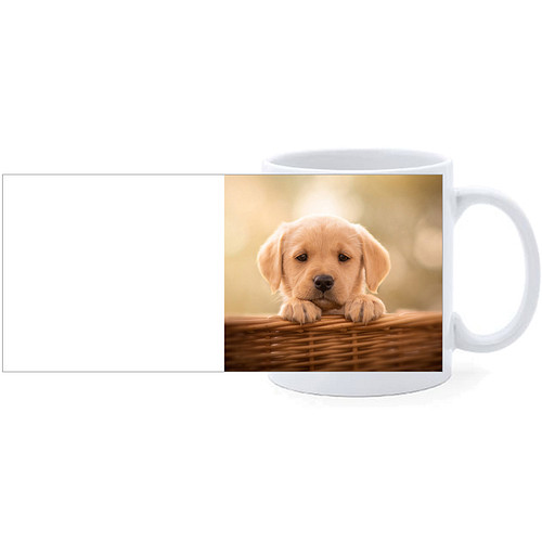 Beker - Golden Retreiver Pup in Mand