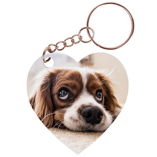 Sleutelhanger hartje 5x5cm - Cocker Spaniel Hond Liggend op Snuit