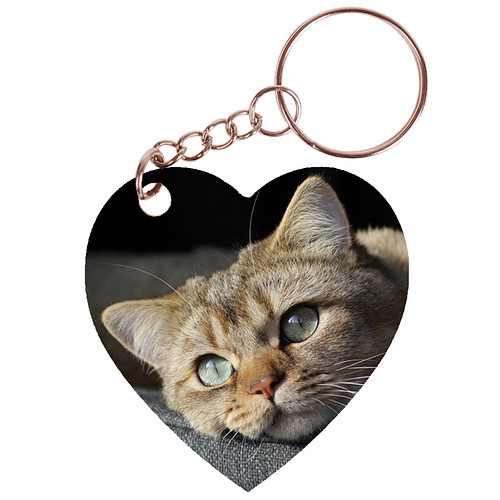 Sleutelhanger hartje 5x5cm - Europese Korthaar kat Tijger Liggend op Kussen