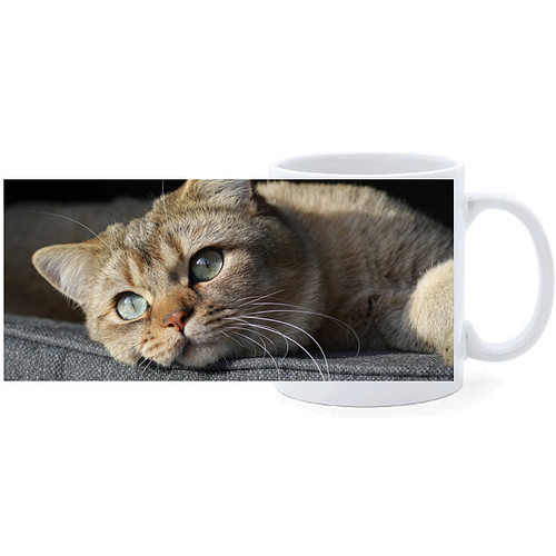 Beker - Europese Korthaar kat Tijger Liggend op Kussen