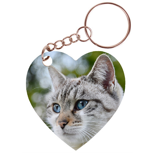 Sleutelhanger hartje 5x5cm - Poes Wit/Tijger met Blauwe Ogen
