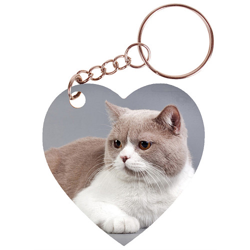 Sleutelhanger hartje 5x5cm - Britse Korthaar Beige/Wit Liggend