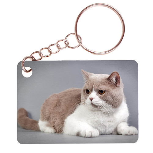 Sleutelhanger 6x4cm - Britse Korthaar Beige/Wit Liggend