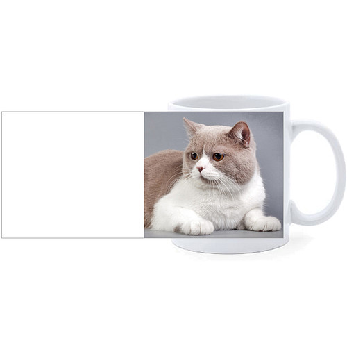 Beker - Britse Korthaar Beige/Wit Liggend