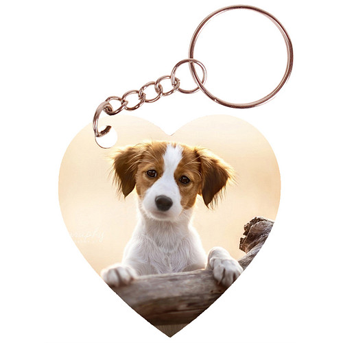 Sleutelhanger hartje 5x5cm - Kooikerhondje Pup opTak