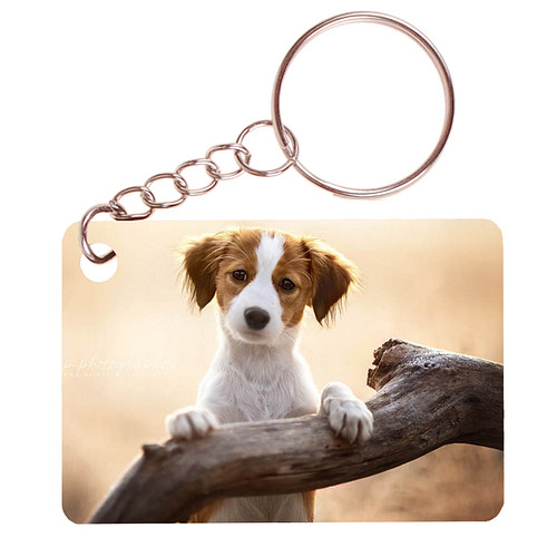Sleutelhanger 6x4cm - Kooikerhondje Pup opTak