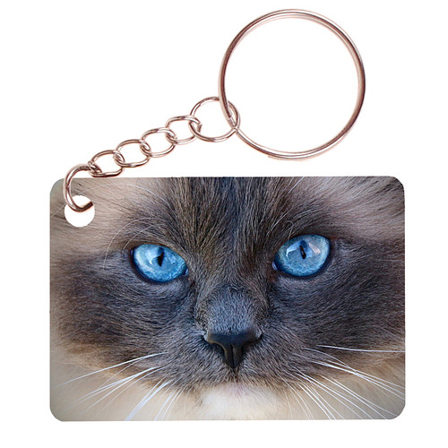 Sleutelhanger 6x4cm - Siamees kat Close-up
